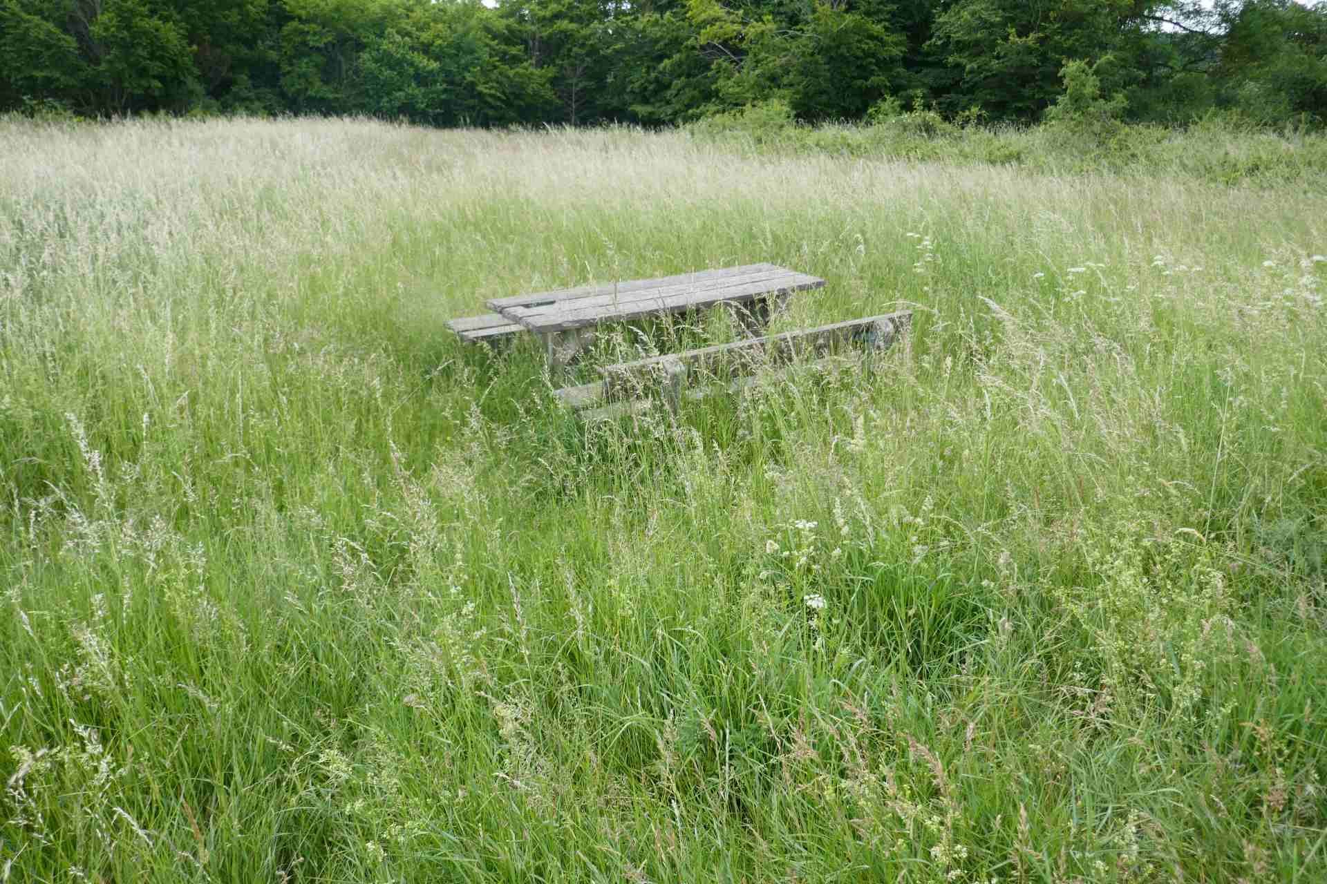 05 Albschäferweg - 2 Tages Wanderung im Juni